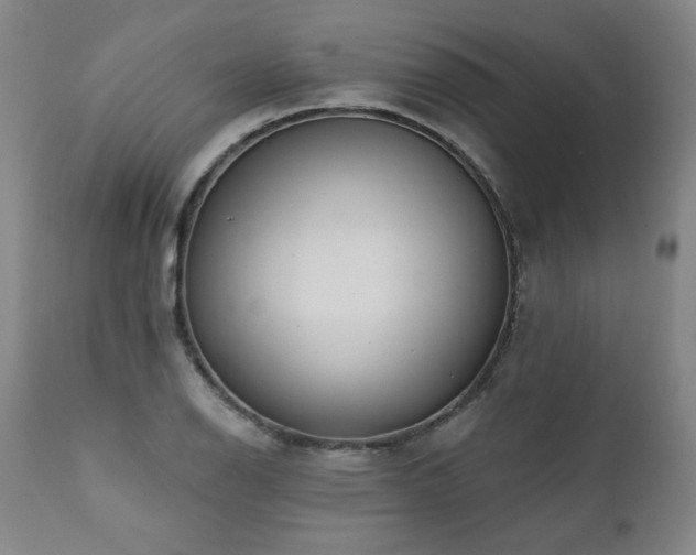 X0000112061126200908041208