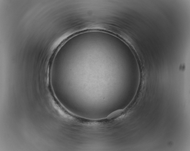 X0000112061127200908041208