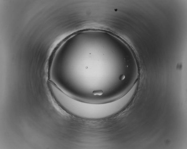 X0000112061128200908041208