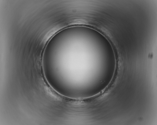 X0000112061129200908041208