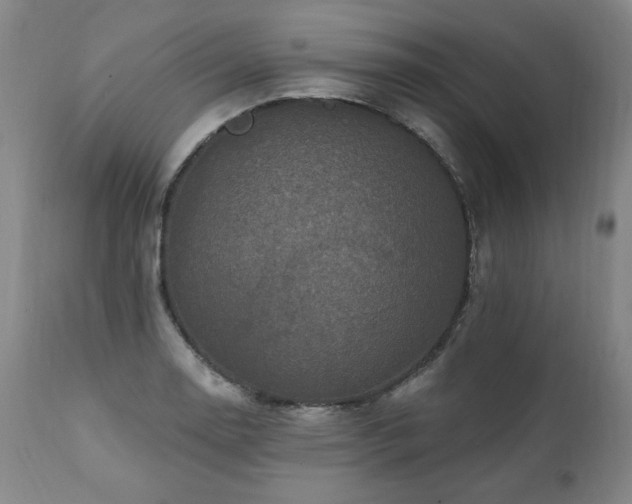 X0000112061130200908041208