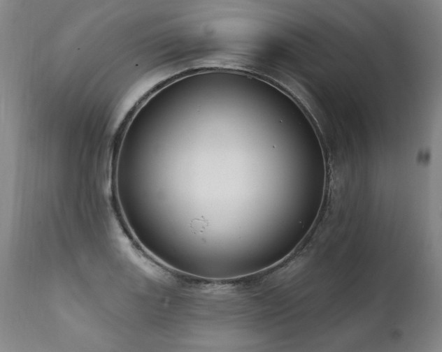 X0000112061131200908041208