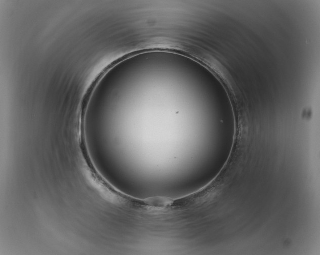 X0000112061132200908041208