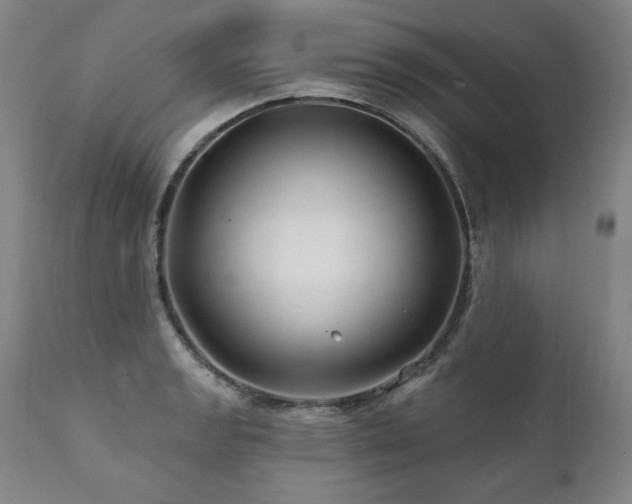 X0000112061133200908041208