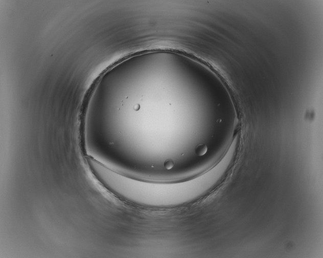 X0000112061134200908041208