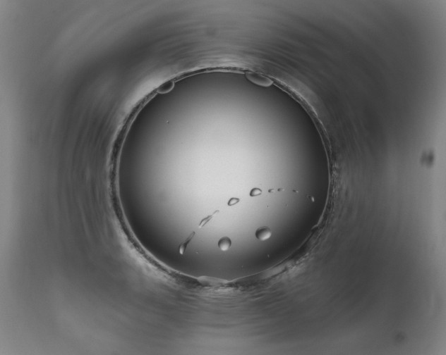 X0000112061135200908041208
