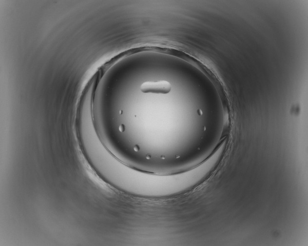 X0000112061136200908041208