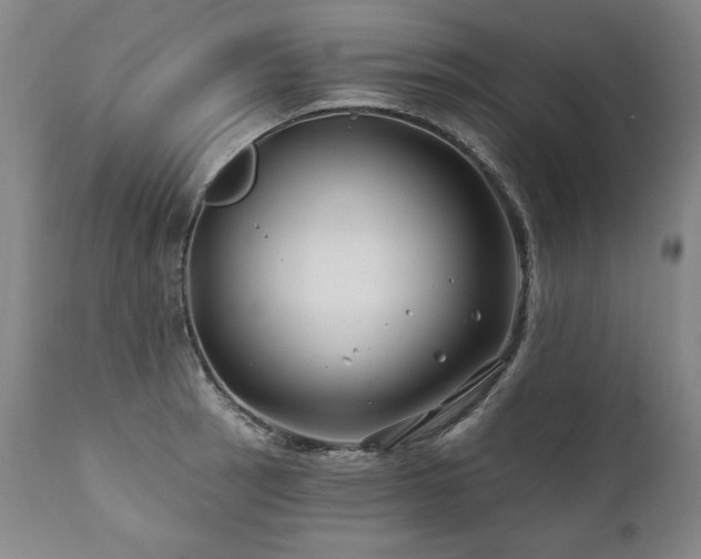 X0000112061137200908041208