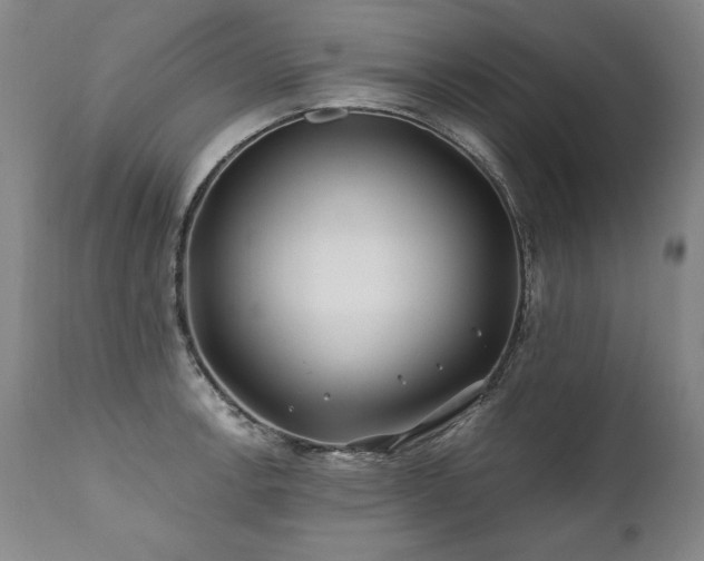 X0000112061138200908041208