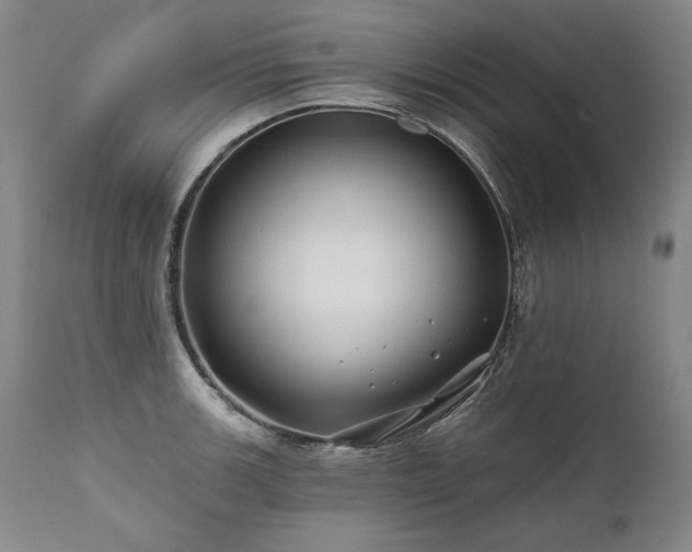 X0000112061139200908041208