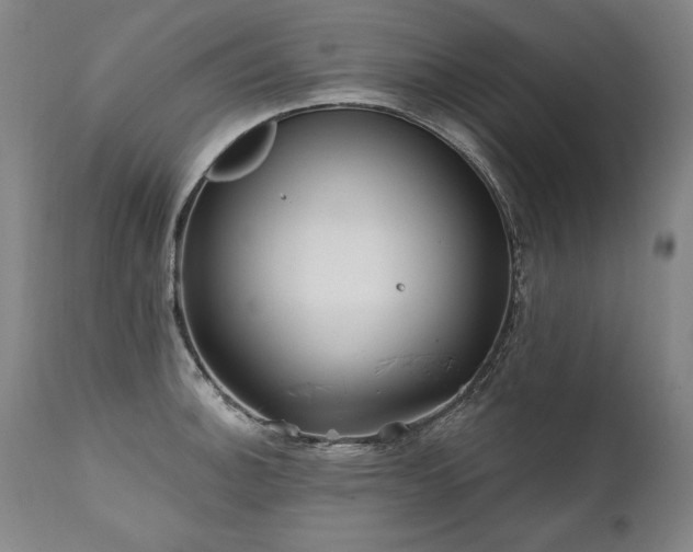 X0000112061140200908041208