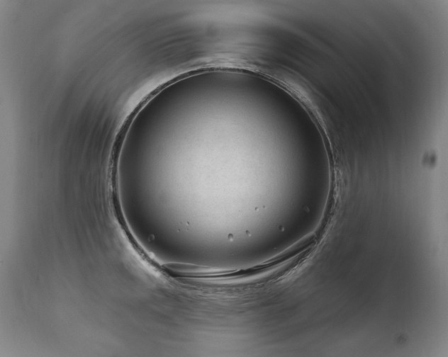 X0000112061141200908041208