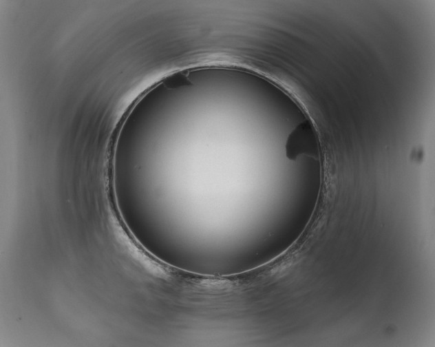 X0000112061142200908041208