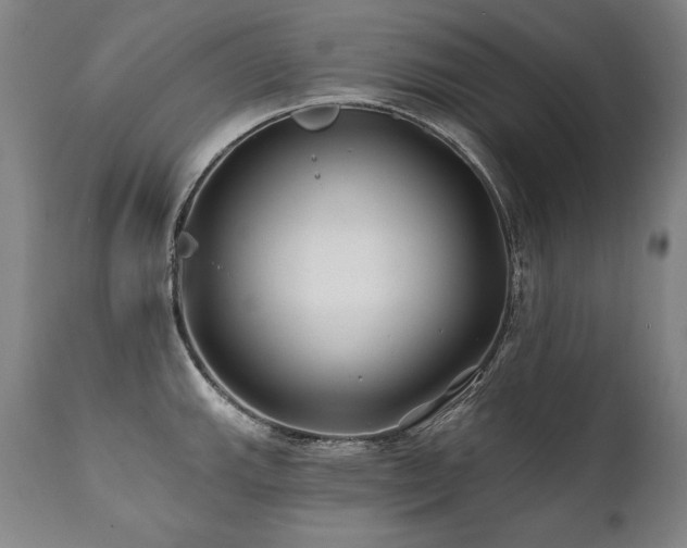 X0000112061143200908041208