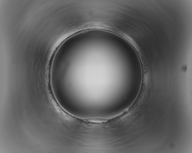 X0000112061144200908041208
