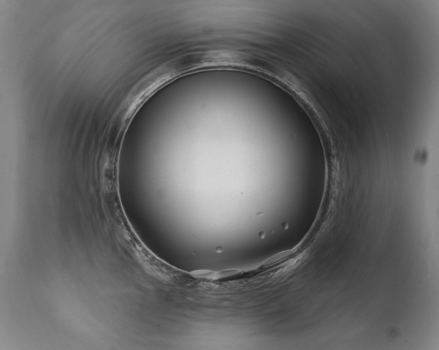 X0000112061145200908041208