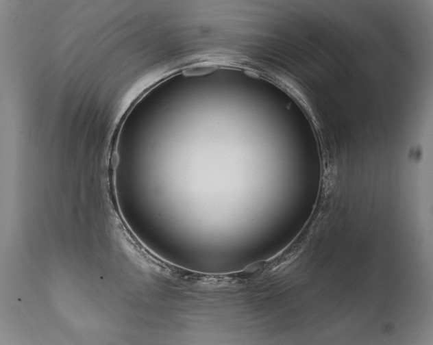 X0000112061146200908041208