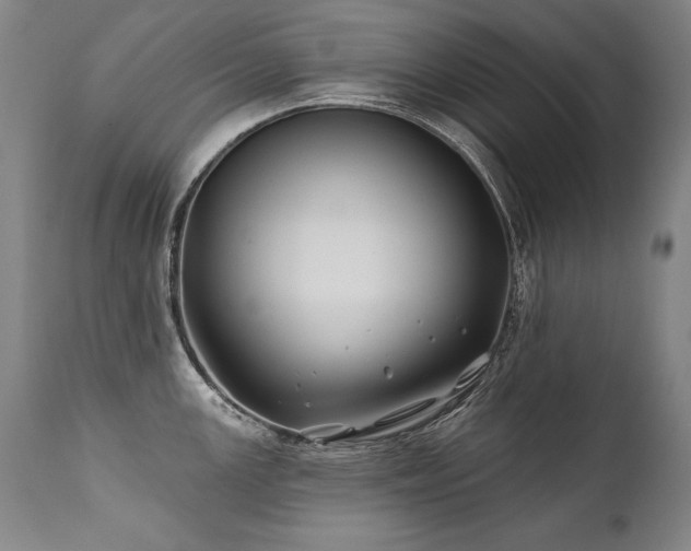 X0000112061147200908041208