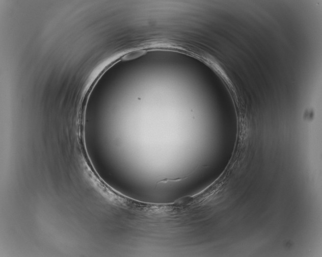 X0000112061148200908041208