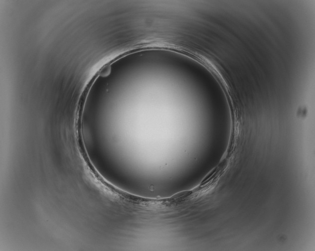 X0000112061149200908041208