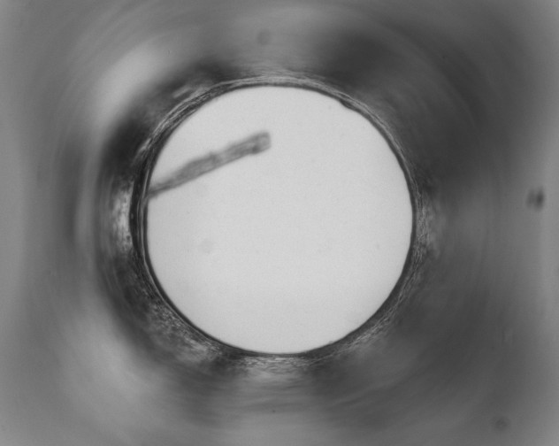X0000112061150200908041208