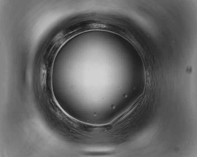 X0000112061151200908041208