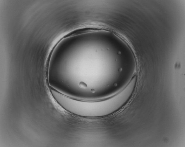 X0000112061152200908041208