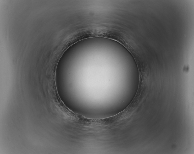 X0000112061153200908041207