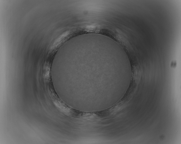 X0000112061154200908041207