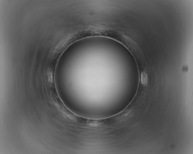 X0000112061155200908041207