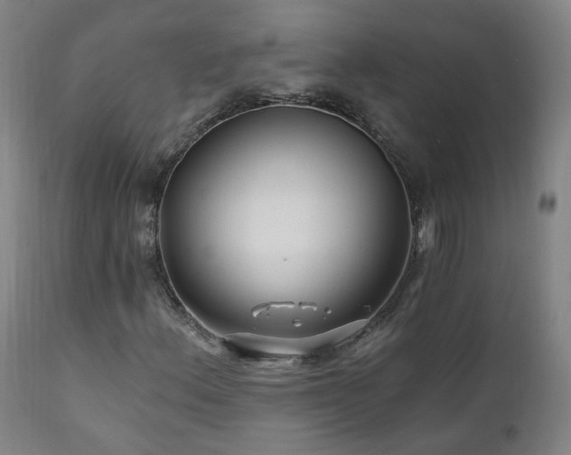 X0000112061156200908041207