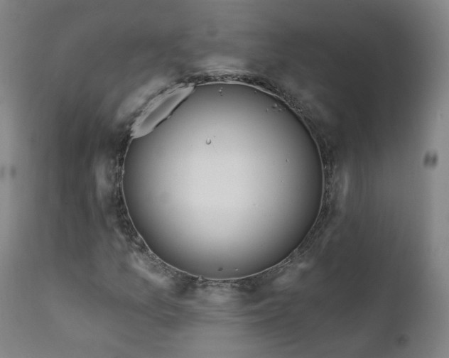 X0000112061157200908041207