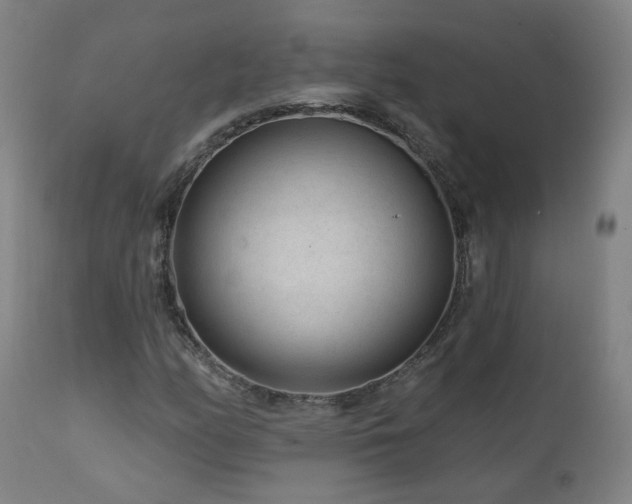 X0000112061158200908041207