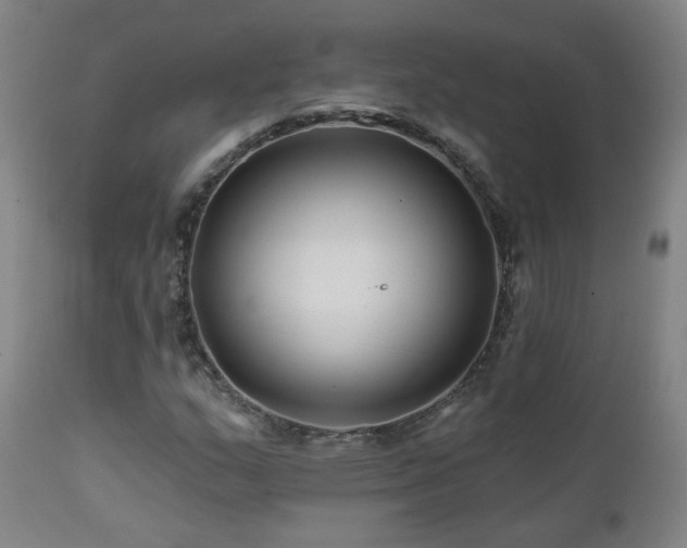 X0000112061159200908041207