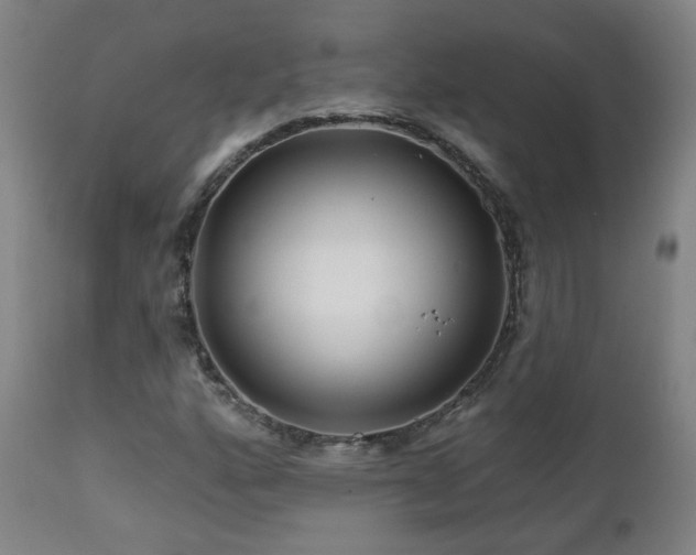 X0000112061160200908041207