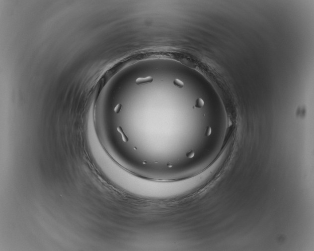 X0000112061161200908041207