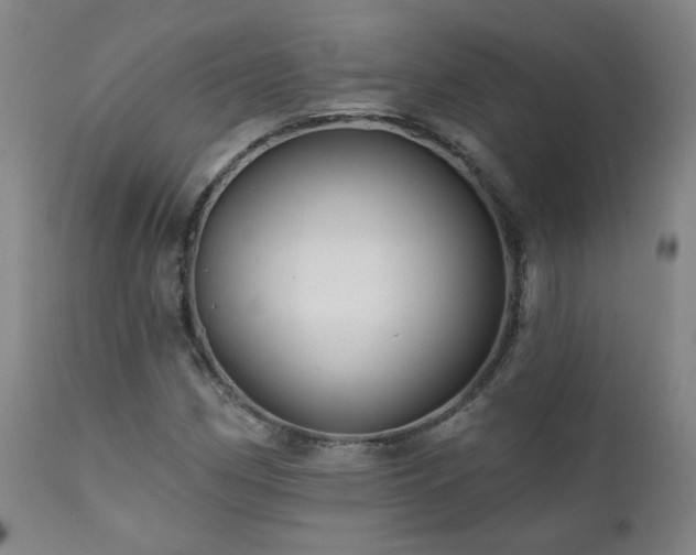 X0000112061162200908041207