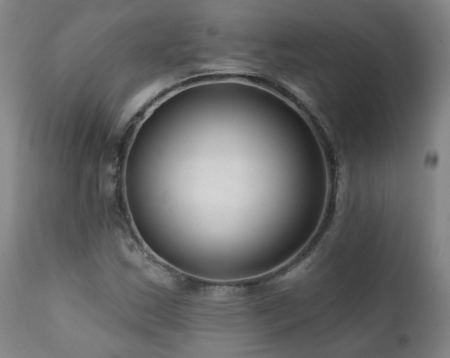X0000112061163200908041207