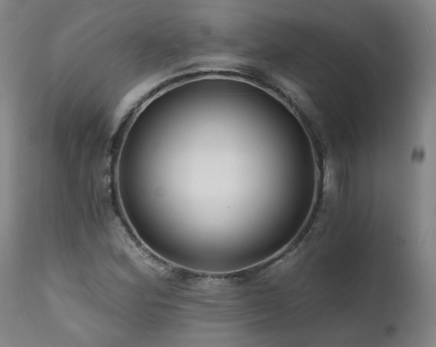 X0000112061164200908041207