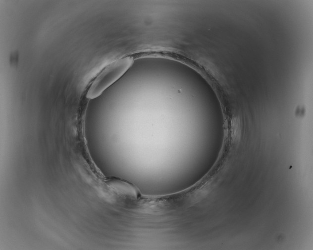 X0000112061165200908041207
