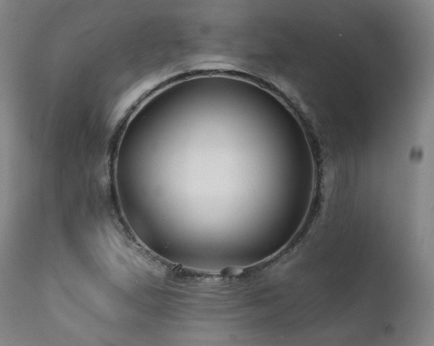 X0000112061167200908041207