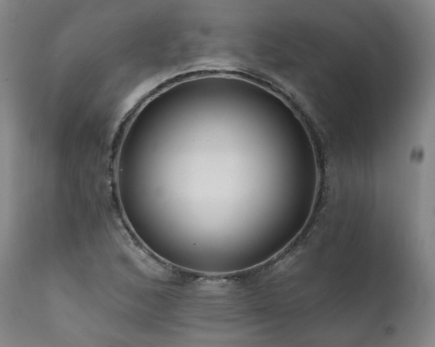 X0000112061168200908041207