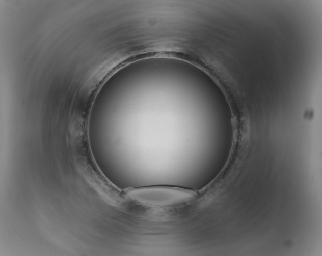 X0000112061169200908041207