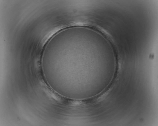 X0000112061170200908041207