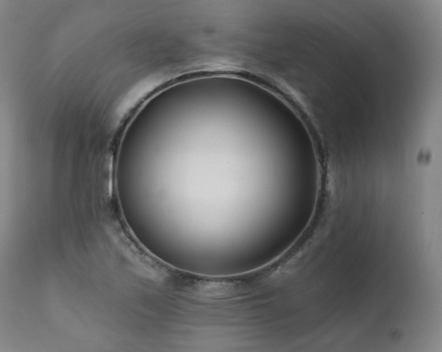 X0000112061171200908041207