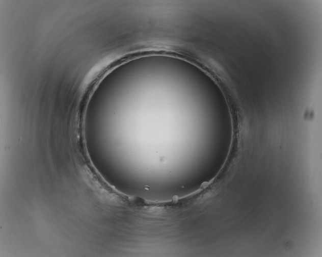 X0000112061172200908041207