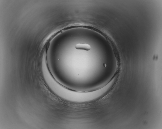 X0000112061173200908041207