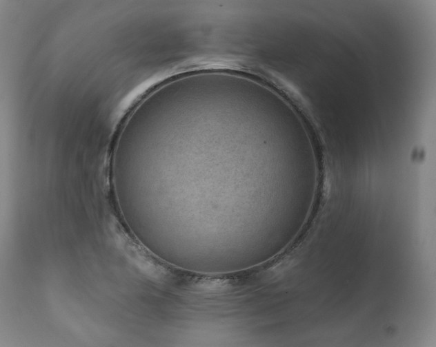 X0000112061174200908041207