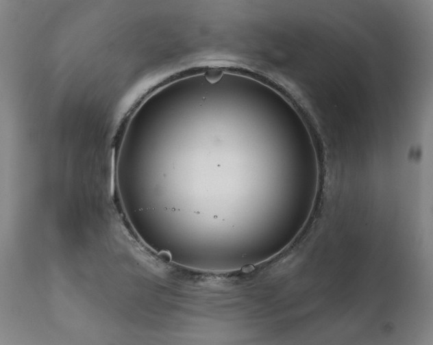 X0000112061175200908041207