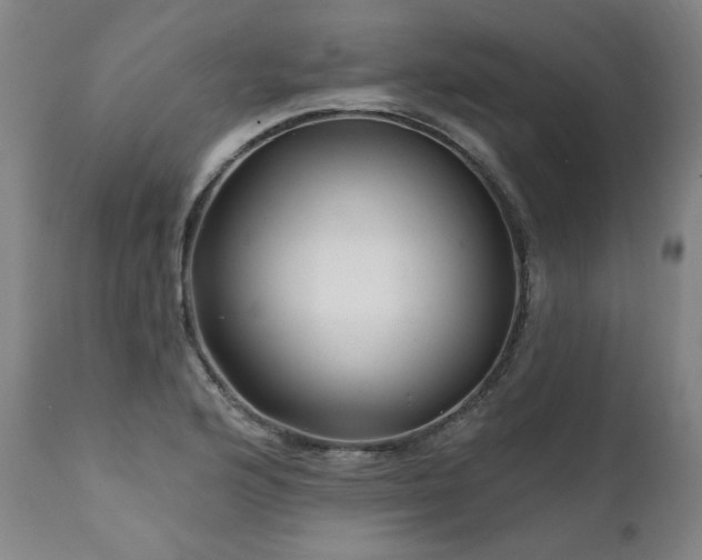 X0000112061176200908041207
